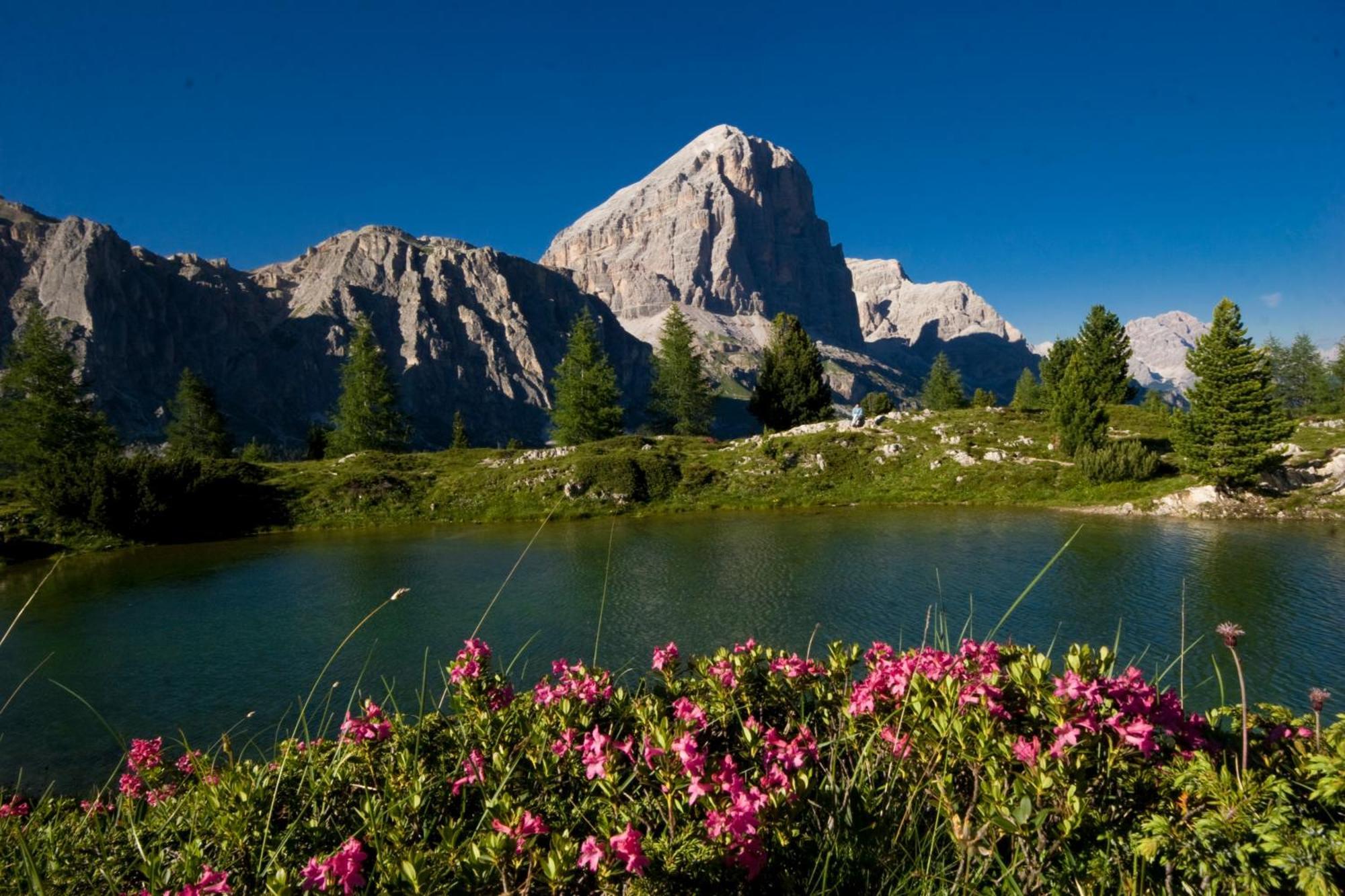 Ciasa Vervei Hotel Cortina dʼAmpezzo Exterior foto